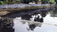 Kondisi air Kali Sekretaris menghitam.