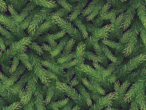 8 Aroma Ini Bisa Membuat Kamu Merasa Lebih Bahagia