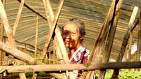 Meski terbilang cukup sepuh, Ibu ini tetap sigap dan gembira bekerja di kebun pembibitan tanaman. Foto: Yuliani Liputo/Laskar Kampungku