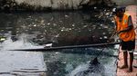 Membuat Kali Sekretaris Bersih Lagi