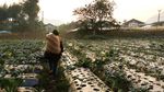 Melihat Pekerja Kebun Bibit di Maribaya Bandung