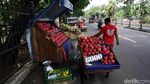 Pedagang Buah Kuasai Trotoar di Jalan Raya Bogor