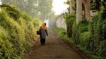 Melihat Pekerja Kebun Bibit di Maribaya Bandung