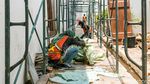 Mengintip Proses Revitalisasi Museum Bahari