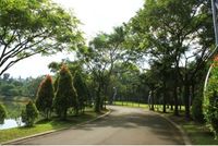 Taman terbuka hijau (Foto: dok. Ancol)