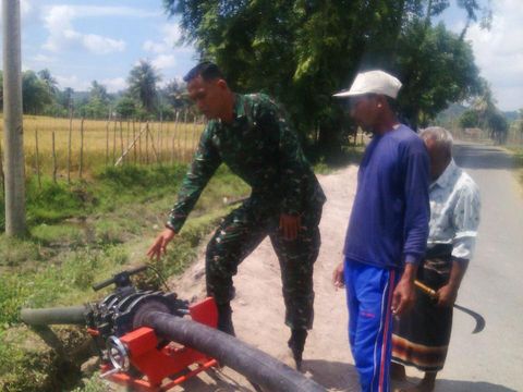 Serda Sigit, TNI Penyulap 98 Hektare Ladang Ganja Jadi Sawah