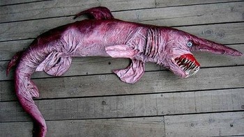 Goblin Shark atau Hiu Goblin merupakan spesies hiu berasal dari Jepang jenis diini disebut juga sebagai fosil hidup karena jenis ini merupakan bagian dari keluarga Mitsukurinidae yang masih ada yang berumur 125 juta tahun. Hiu Goblin tinggal di pedalaman lebih dari 100 meter. Memiliki wujud aneh di mana bagian jidatnya menjulur panjang serta giginya yang panjang-panjang seperti monster, selain di Jepang ia dapat ditemukan di Australia hingga Samudra Pasifik, dari teluk Meksiko ke Samudera Atlantik.  (Foto: Boredpanda)