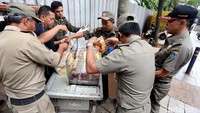 Ketika tiba di lokasi petugas Satpol PP langsung mengangkut sejumlah gerobak pedagang sekaligus barang dagangannya.