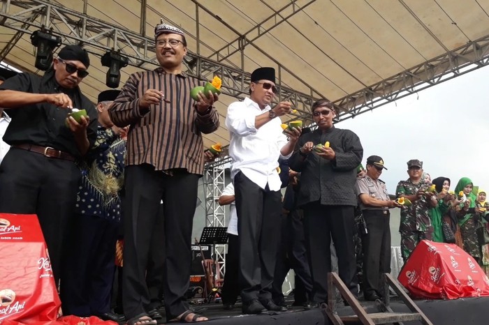 Mangga Alpukat di Pasuruan, Bagaimana Rasanya?