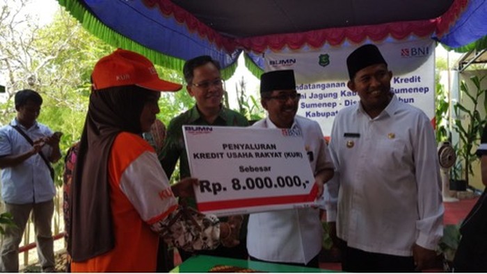 BNI Salurkan KUR untuk 8.000 Petani Jagung Sumenep