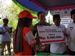 BNI Salurkan KUR untuk 8.000 Petani Jagung Sumenep