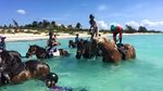 Di Karibia, Kamu Bisa Berkuda di Laut