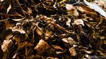Mengolah Sampah Menjadi Berkah
