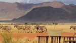 Foto: Resor Mewah di Tengah Padang Rumput Afrika di Namibia
