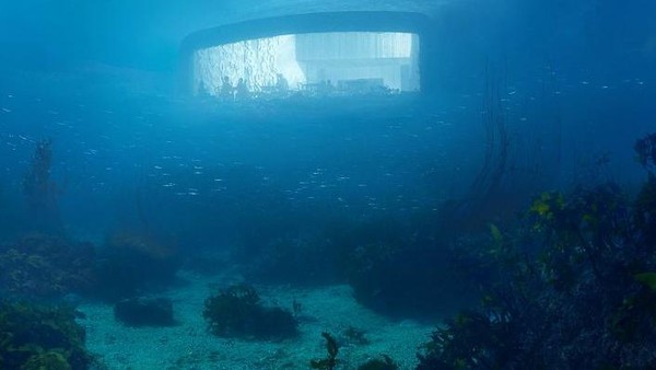Foto: Restoran Unik yang Menempel Seperti Kerang
