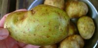 Ini 10 Mitos Populer di Dapur yang Masih Banyak Dilakukan Orang (2)