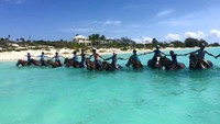 Awalnya, Provo Ponies merupakan program penyelamatan kuda di tahun 2001. Kemudian kuda-kuda yang diselamatkan di rawat di pulau ini (Provo Ponies/Facebook)
