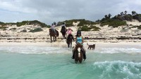 Maka dari itu, traveler pun tidak wajib untuk punya pengalaman berkuda. Minimal berusia 7 tahun sudah bisa mengikuti tur yang satu ini (Provo Ponies/Facebook)