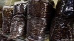 Mengolah Sampah Menjadi Berkah
