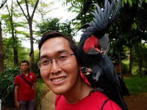 Selfie Bareng Kakatua di Utara Jakarta, Ini Tempatnya