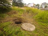 Sumur tua tempat korban dibuang