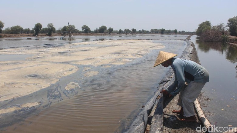  Gambar  Tiga Hal Bisa Tingkatkan Kesejahteraan Petani  Garam  