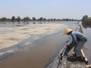 2 Wilayah di NTT Ini Jadi Target Lokasi Produksi Garam