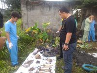 Tulang yang ditemukan