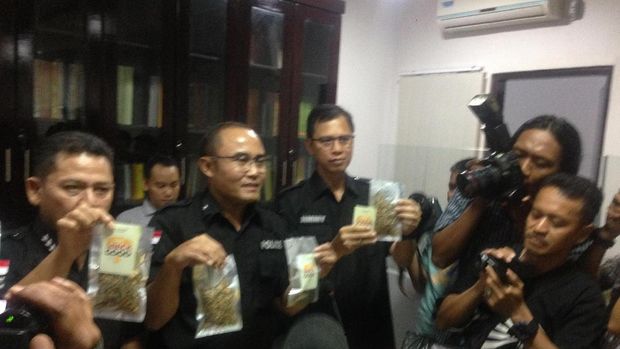 Polisi Ungkap Peredaran 51,5 Kg Magic Mushroom Via Online di Bandung