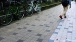 Foto: Bisa Nggak ya Trotoar di Jakarta Jadi Sebagus ini