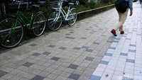 Trotoar ini menghubungkan kawasan perhotelan dan pusat perbelanjaan di Ginza.