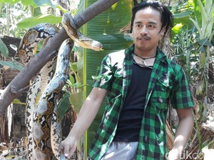 Ular Sanca Pemakan Unggas di Pasuruan Ditangkap Warga