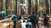 Di kellilingi pohon pinus, hawa sejuk, semilir angin lembut, ini dia The Great Oko. Hutan wisata yang jadi destinasi baru populer di Garut dengan dekorasi pohon menggantung (Hakim Ghani/detikTravel)