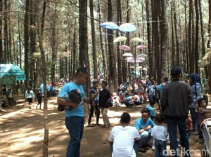 Destinasi Baru di Garut yang Bikin Ogah Pulang
