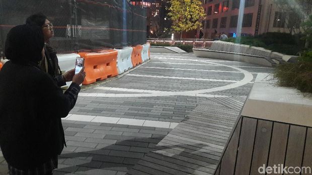 Wali Kota Risma memotret taman di Manhattan, New York