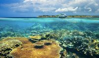Gili Trawangan (pesonalombok/d'Traveler)