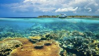 Tahukah traveler, Nusa Tenggara Barat tidak hanya tentang keindahan Lombok dengan Gili Trawangan, Gili Air dan Gili Meno saja lho. (pesonalombok/dTraveler)