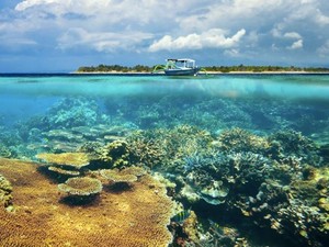 Mau Liburan ke Lombok dari Bali? Bisa Naik Pesawat hingga Fast Boat
