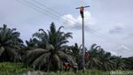 Begini Perjuangan Terangi Desa Terpencil di Riau