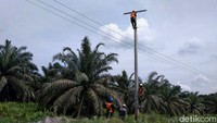 Petugas PLN sedang memasang travers untuk melistriki desa Kuala Gasib, Kabupaten Siak Sri Indrapura, Riau. Pool/PLN Wilayah Riau dan Kepri.