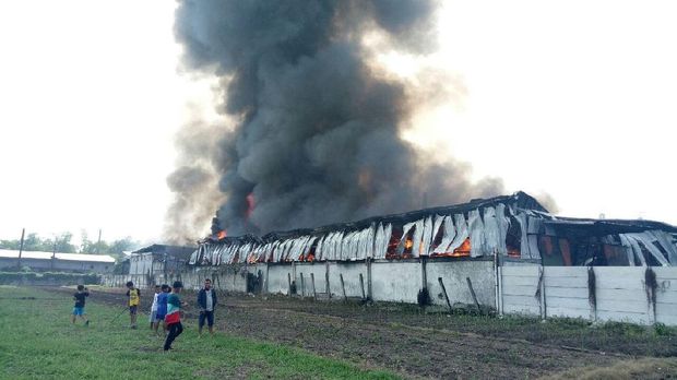 Banyaknya kopra yang mudah terbakar menyulitkan pemadaman