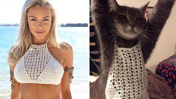 Kocak! niat mau beli baju sesuai yang dikenakan wanita ini, tapi setelah sampai malah seukuran badan kucing. (Foto: Boredpanda)