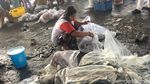 Keramaian Lelang Ikan di TPI Juwana, Jawa Tengah