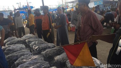 Keramaian Lelang Ikan di TPI Juwana, Jawa Tengah
