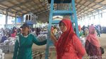 Keramaian Lelang Ikan di TPI Juwana, Jawa Tengah