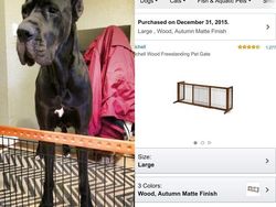 Miris Tapi Kocak, Mereka Tertipu Belanja Online