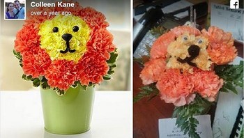 Ketika foto yang dipajang tidak sesuai dengan aslinya alias berantakan. (Foto: Boredpanda)