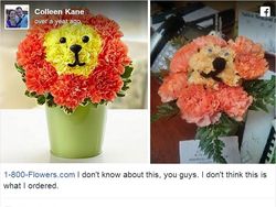 Miris Tapi Kocak, Mereka Tertipu Belanja Online