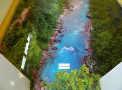 Lukisan 3D yang Bikin Betah di Kamar Mandi