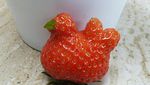 Ayo Tebak! Buah-buahan Ini Mirip Apa Ya?